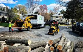 Professional Tree Removal Services in Batavia, IL